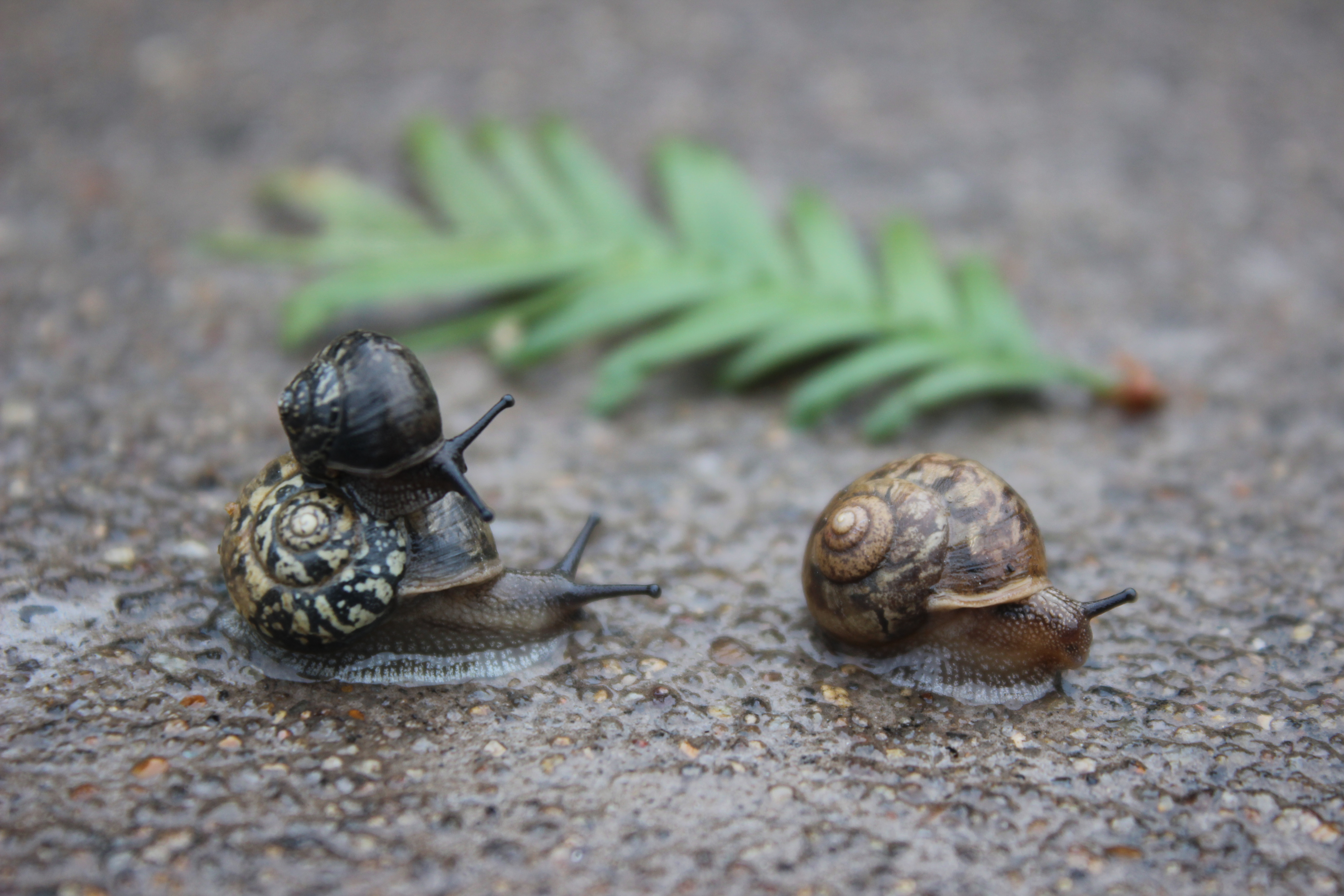 【攝影】爸爸，去哪？